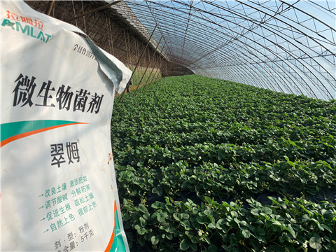 微生物菌劑，拉姆拉，翠姆