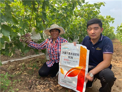 大量元素水溶肥，拉姆拉，翠姆