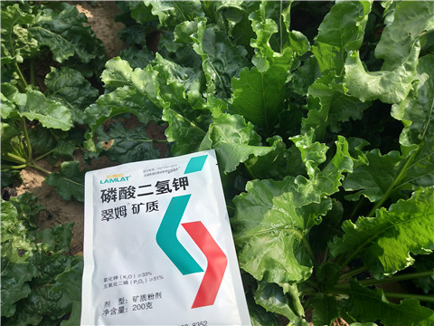 水溶肥，拉姆拉，翠姆