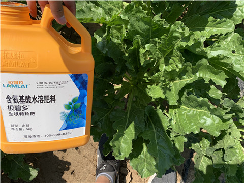 水溶肥，拉姆拉，翠姆