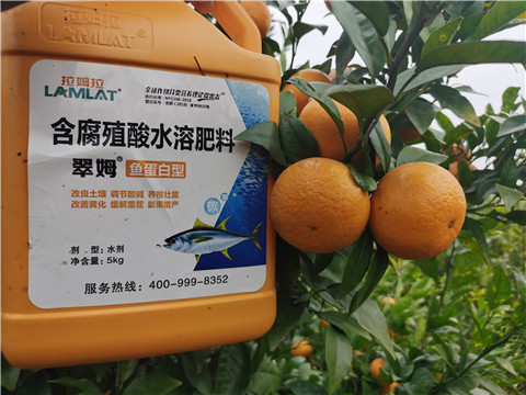 水溶肥，拉姆拉，翠姆