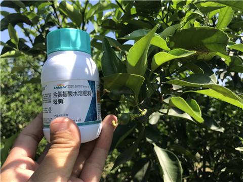 葉面肥，拉姆拉，翠姆