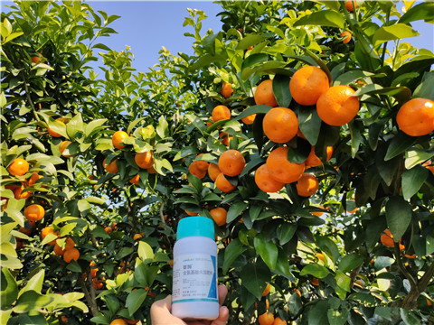 葉面肥，拉姆拉，翠姆