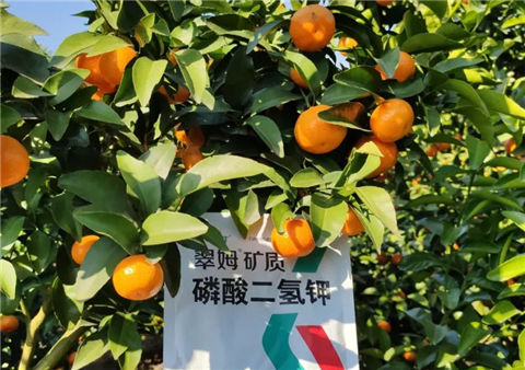 磷酸二氫鉀，拉姆拉，翠姆