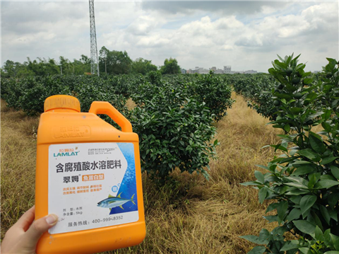 水溶肥，拉姆拉，翠姆