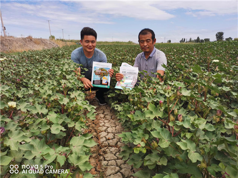 水溶肥，拉姆拉，翠姆