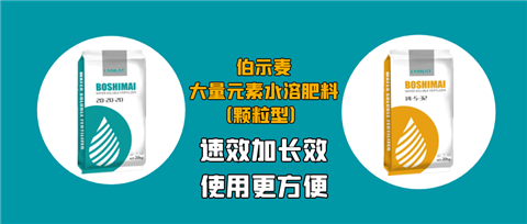 顆粒肥，拉姆拉，翠姆