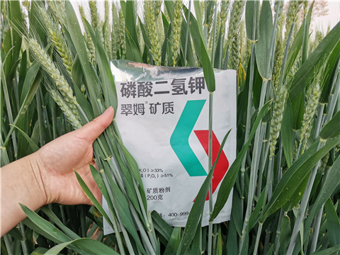 葉面肥，水溶肥，磷酸二氫鉀