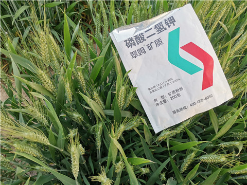 水溶肥，拉姆拉，翠姆