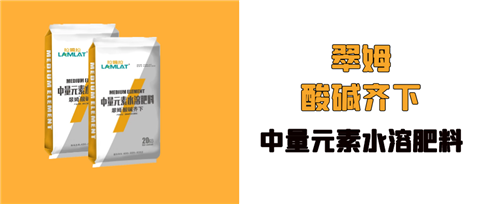 水溶肥，拉姆拉，翠姆