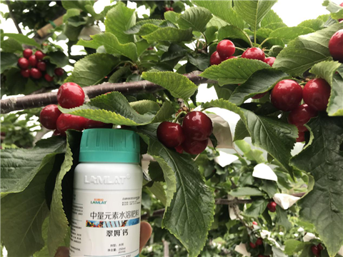 水溶肥，拉姆拉，翠姆