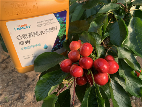 水溶肥，拉姆拉，翠姆