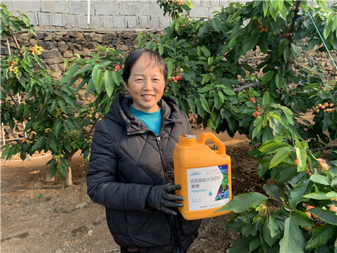 水溶肥，拉姆拉，翠姆