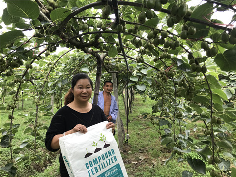 顆粒復(fù)合肥，拉姆拉，翠姆