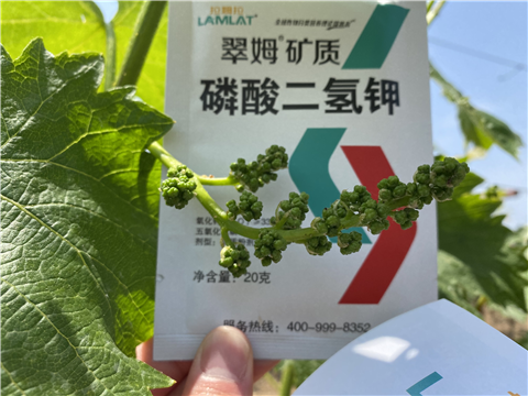 磷酸二氫鉀，拉姆拉，翠姆