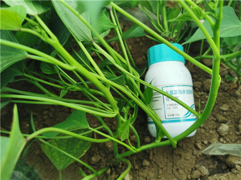 水溶肥，拉姆拉，翠姆