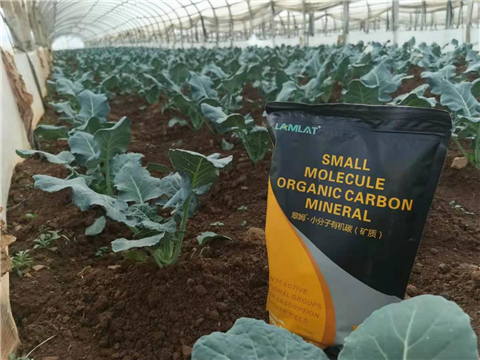 小分子有機(jī)碳，拉姆拉，翠姆