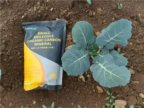 小分子有機(jī)碳，拉姆拉，翠姆