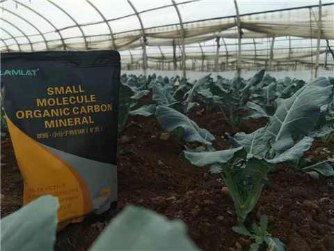 小分子有機(jī)碳，拉姆拉，翠姆