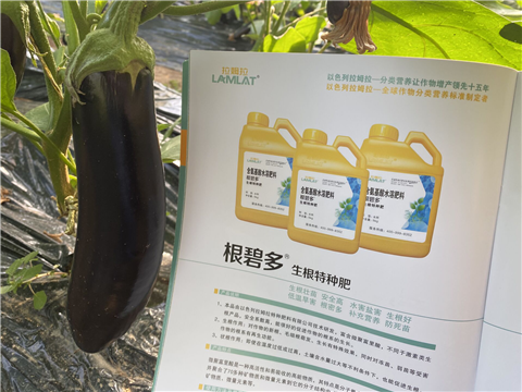 水溶肥，拉姆拉，翠姆