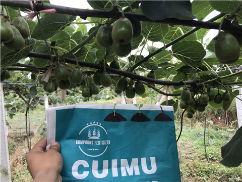 顆粒水溶肥，拉姆拉，翠姆