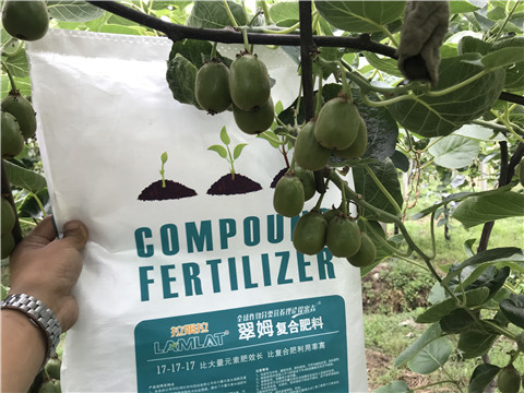 顆粒水溶肥，拉姆拉，翠姆