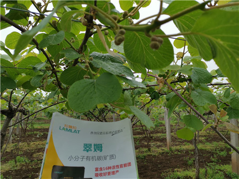 小分子有機(jī)碳，拉姆拉，翠姆