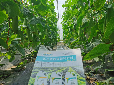 水溶肥，拉姆拉，翠姆