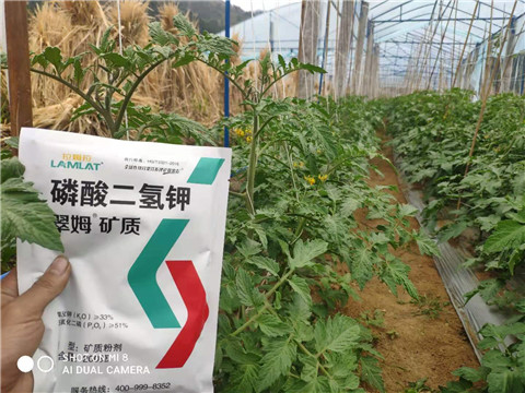 磷酸二氫鉀，拉姆拉，翠姆