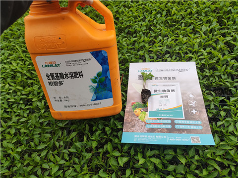 水溶肥，拉姆拉，翠姆