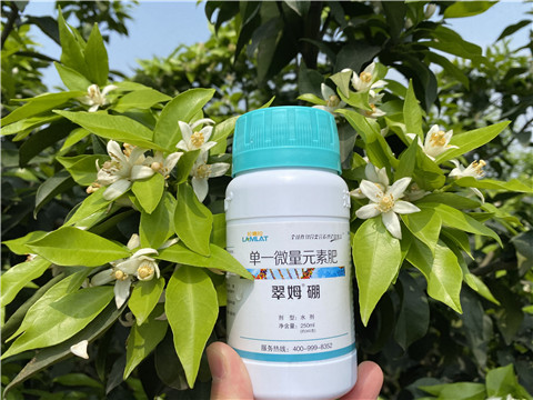 葉面肥，拉姆拉，翠姆