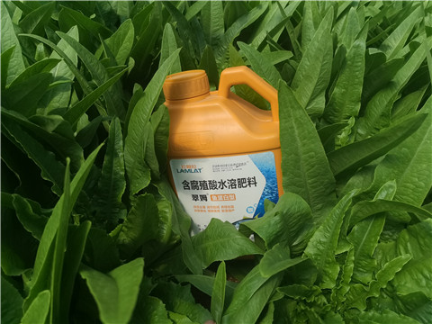 沖施肥，拉姆拉，翠姆