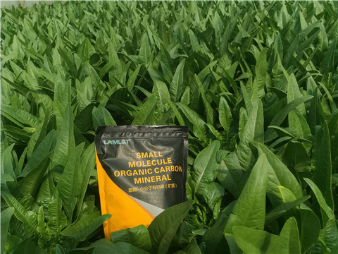 礦源黃腐酸鉀，拉姆拉，翠姆