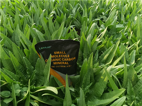 礦源黃腐酸鉀，拉姆拉，翠姆