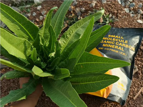 礦源黃腐酸鉀，拉姆拉，翠姆