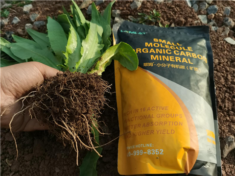 礦源黃腐酸鉀，拉姆拉，翠姆