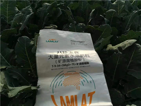大量元素水溶肥，拉姆拉，翠姆