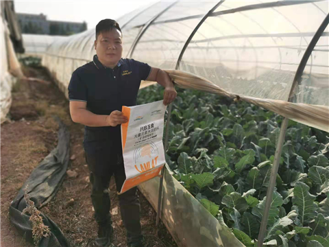 大量元素水溶肥，拉姆拉，翠姆