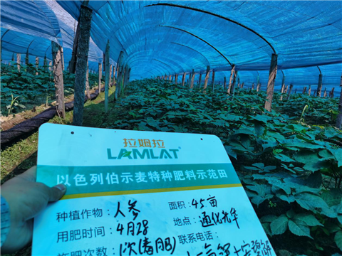 水溶肥，拉姆拉，翠姆