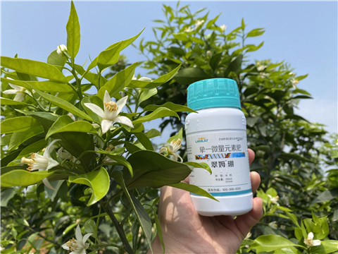 硼肥，拉姆拉，翠姆