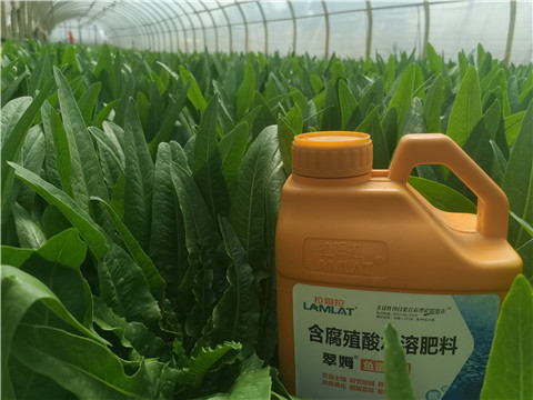 水溶肥，翠姆，拉姆拉