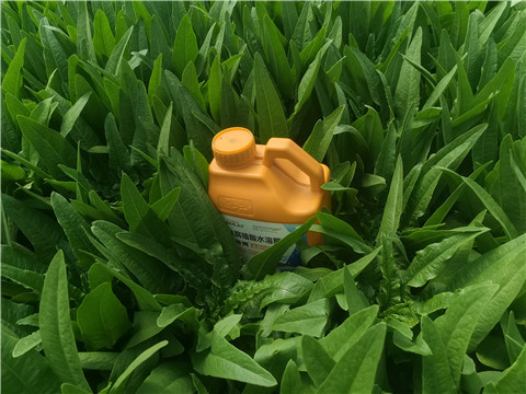 水溶肥，翠姆，拉姆拉