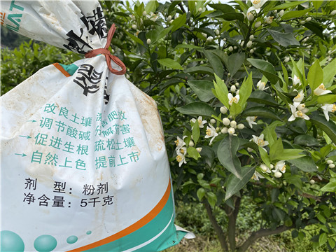 水溶肥，翠姆，拉姆拉