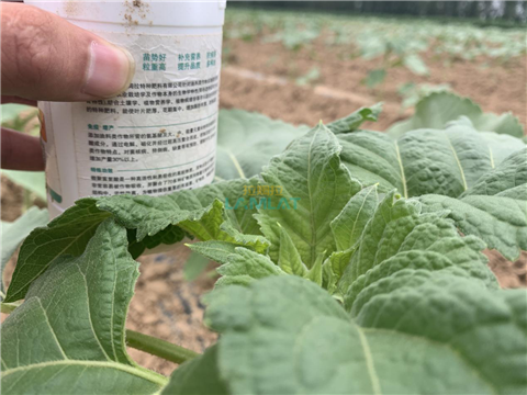 水溶肥，翠姆，拉姆拉