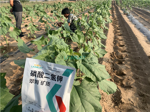 水溶肥，翠姆，拉姆拉