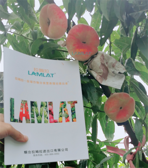 水溶肥，翠姆，拉姆拉