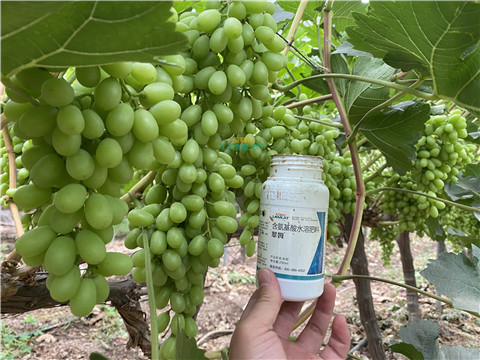 水溶肥，翠姆，拉姆拉