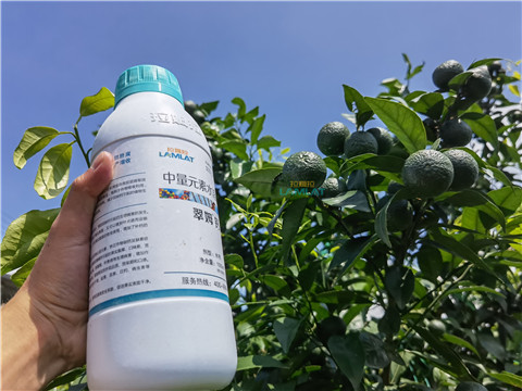 水溶肥，翠姆，拉姆拉