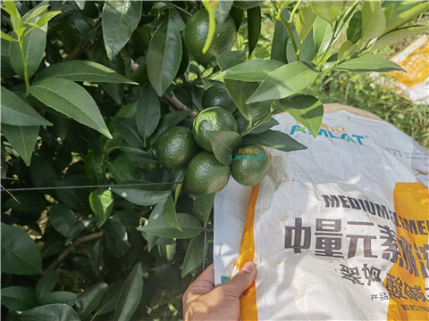 水溶肥，翠姆，拉姆拉