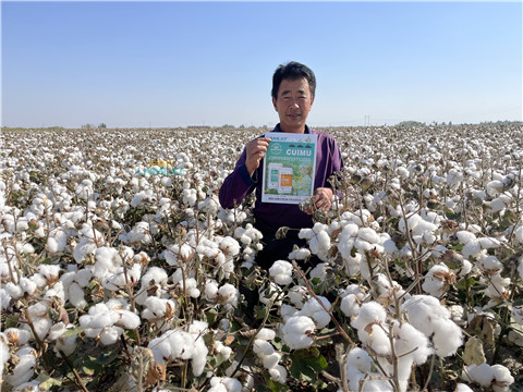 水溶肥，翠姆，拉姆拉